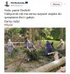 Faktycznie... Po co wojsko? 