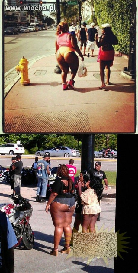 Made in USA