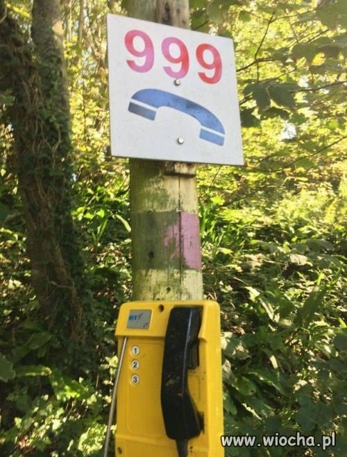 Telefon alarmowy