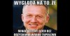 Wygląda na to, że