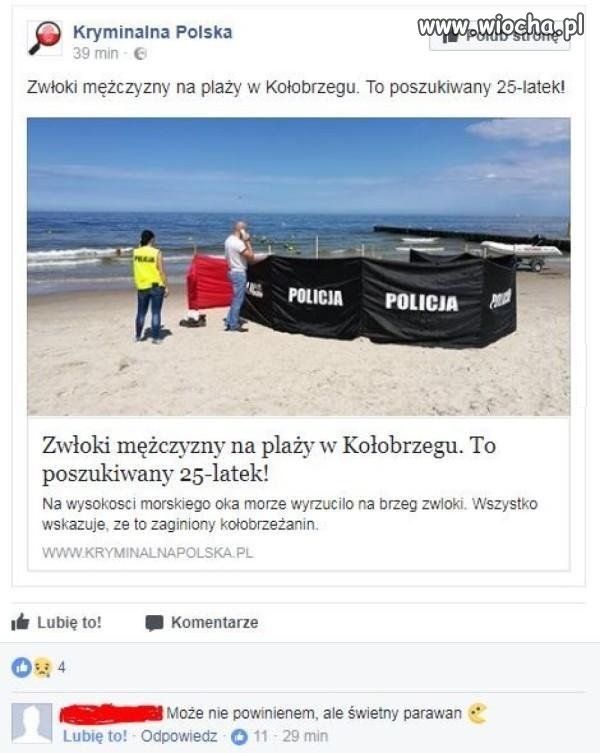 Widać, że polska policja