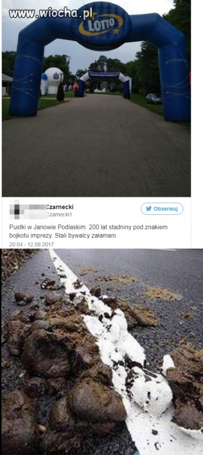 Kompletna klapa!Konie warte miliard