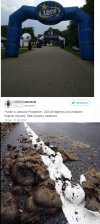 Kompletna klapa!Konie warte miliard