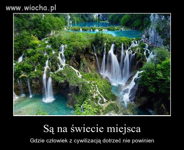 Zgadzam się 