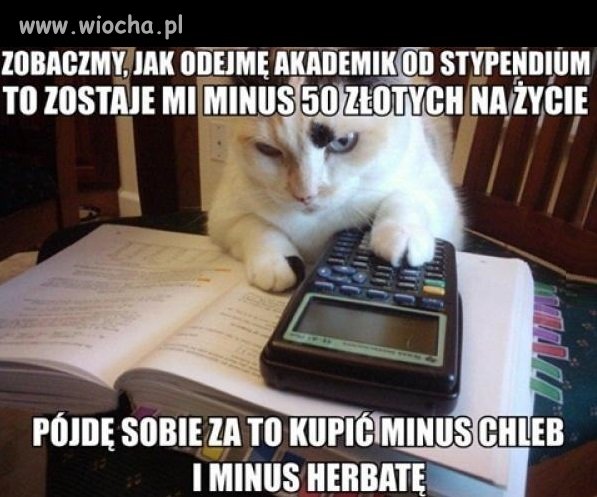 Studencki budżet