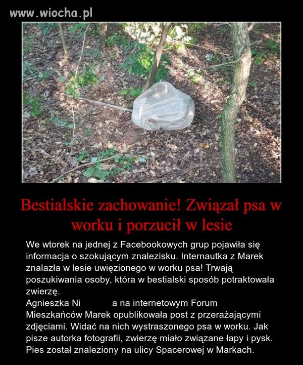 Kolejny przykład