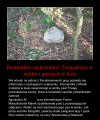 Kolejny przykład