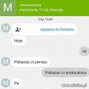 Menszczyzna z holandji