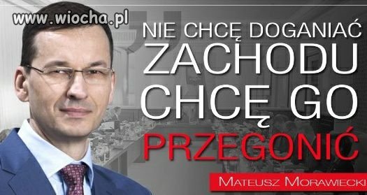 Arab czystej krwi dla każdego