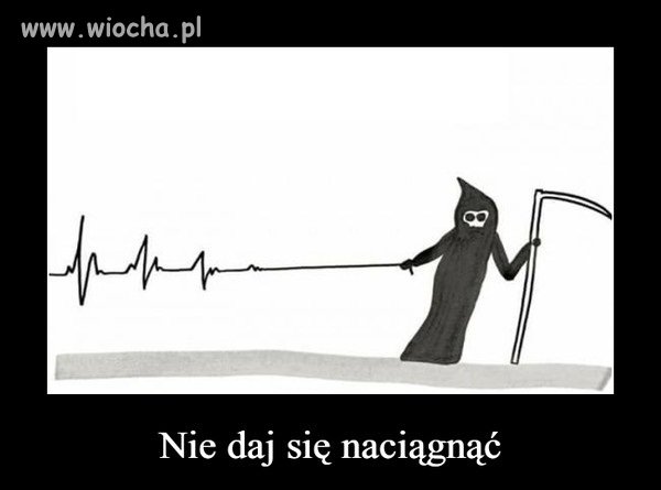 Wszystko w temacie