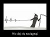 Wszystko w temacie