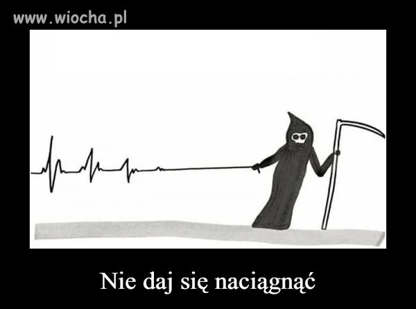 Wszystko w temacie
