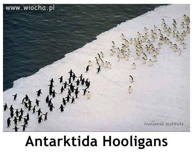 Antarkida Hooligans
