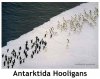 Antarkida Hooligans