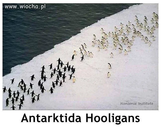 Antarkida Hooligans