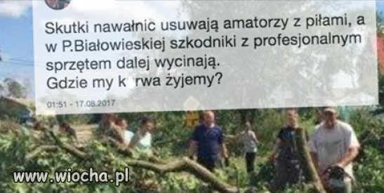 Bo tam jest czysta kasa