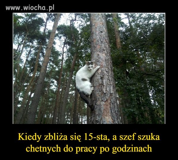 Znam ten ból