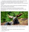 To jest minister ochrony własnej kieszeni i 