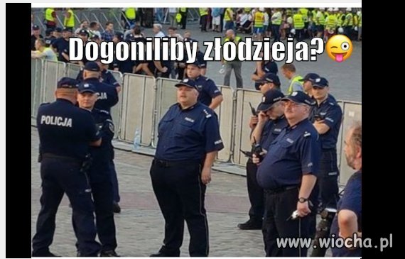 Dogoniliby