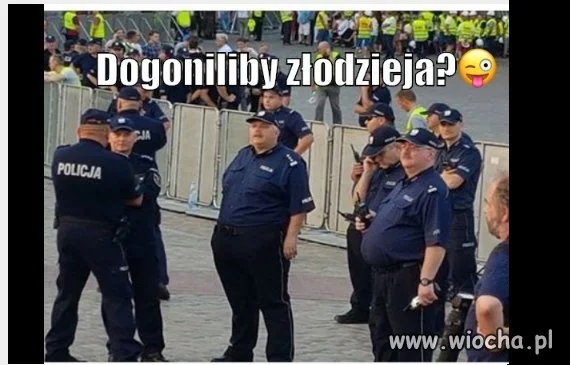 Dogoniliby