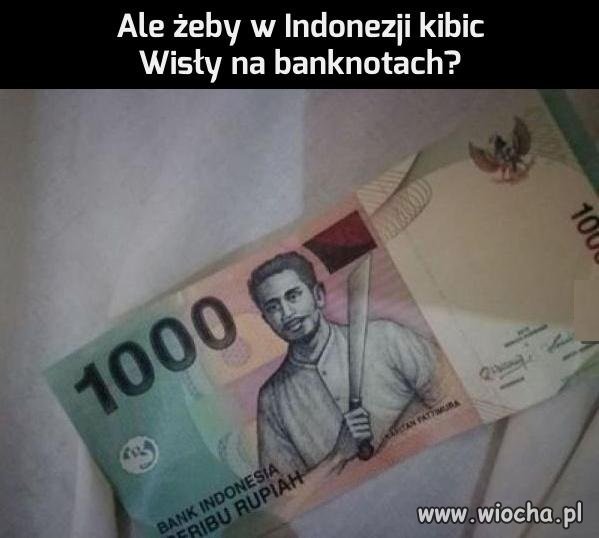 Kibic Wisły