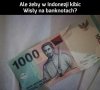 Kibic Wisły