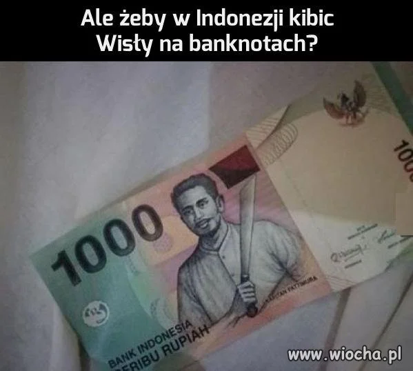 Kibic Wisły