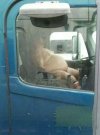 Mała drzemka po długiej trasie