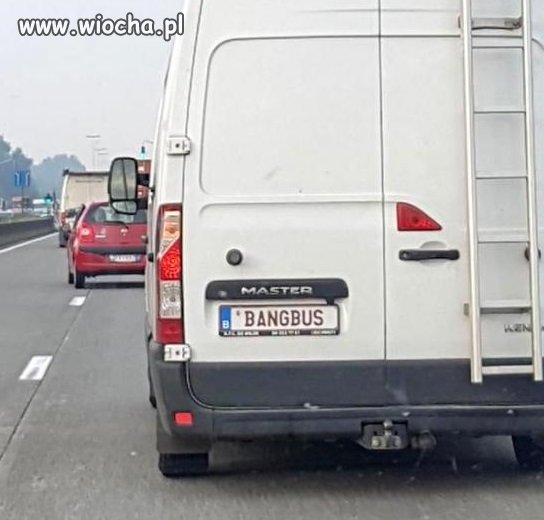 Bangbus