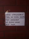 Pies wnoszony nadal ...