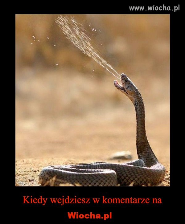 Aż strach coś skomentować