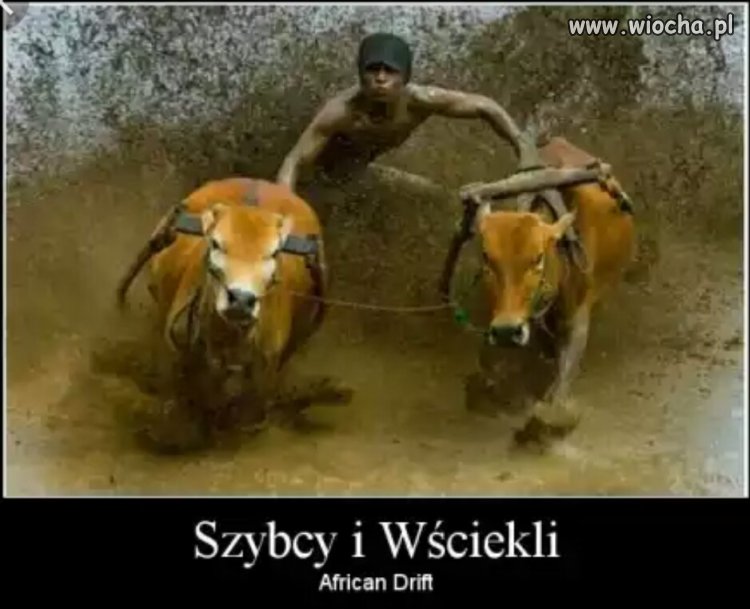 Szybcy i wściekli