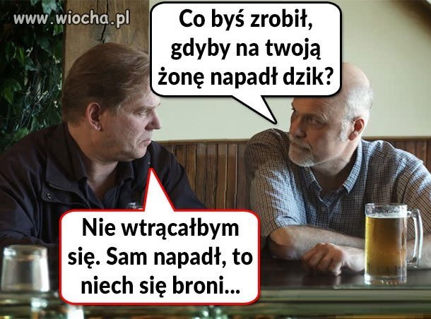 Dzik napadł na żonę