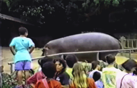 W ogrodzie zoologicznym.