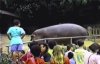 W ogrodzie zoologicznym.