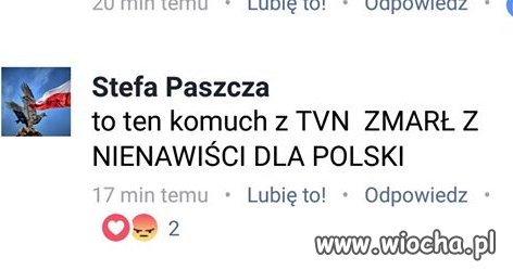 Szkoda 
