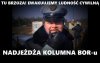 Tu brzoza