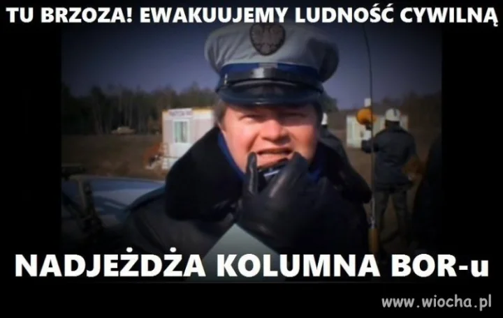 Tu brzoza