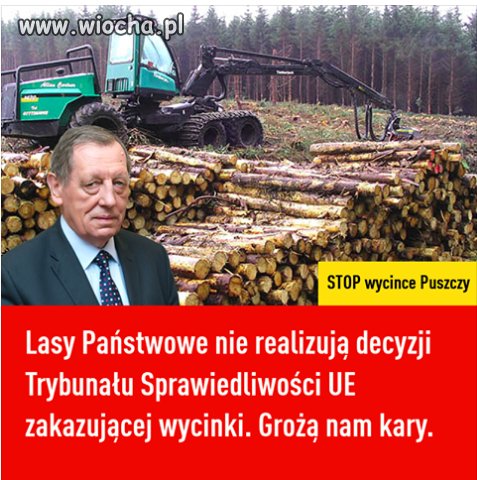 Wartość wyciętych drzew po sprzedaży