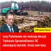 Wartość wyciętych drzew po sprzedaży
