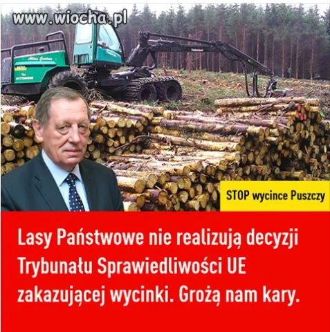 Wartość wyciętych drzew po sprzedaży
