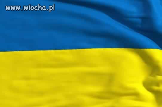 Trwa inwazja imigrantów ze śmietnika europy