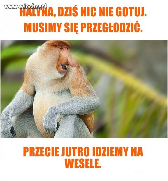 Halyna, dziś się głodzim.