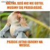 Halyna, dziś się głodzim.