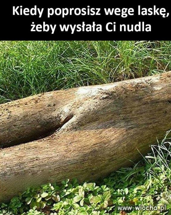 Ech Ci Wege