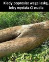 Ech Ci Wege