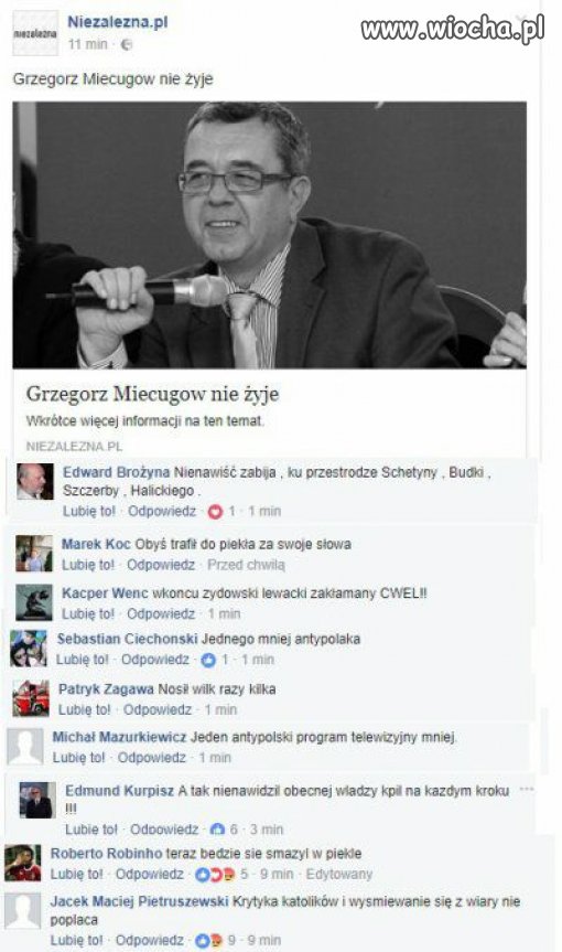 Bydło. 