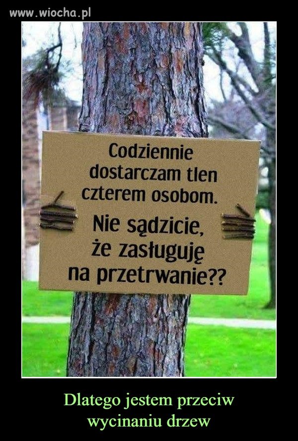 Jestem przeciwny wycinaniu drzew...