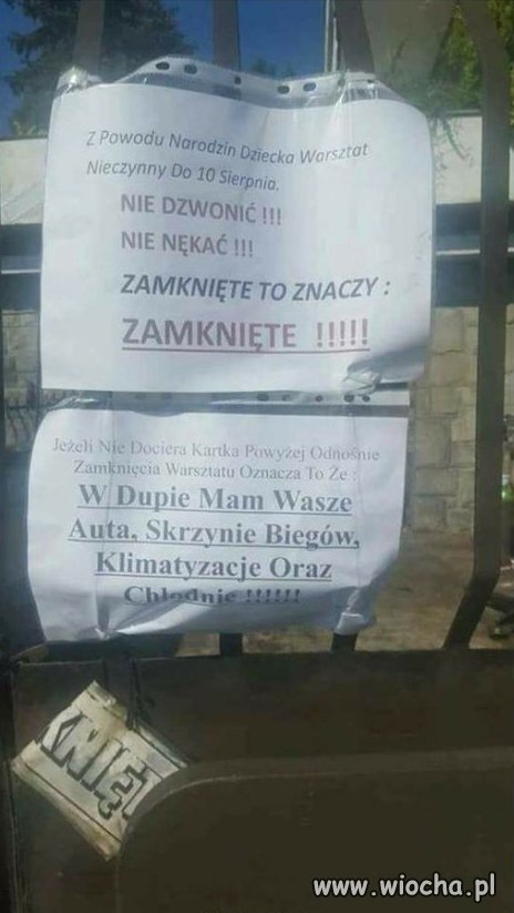 W tym warsztacie nie owijają w bawełnę
