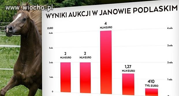 Przedłużenie śledztwa w sprawie Janowa